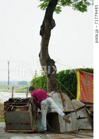 街路樹の下で解体業を営むベトナムの男 71779485