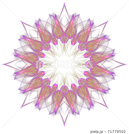 美しい八角形(背景透過PNG)　20201123_014 71779502