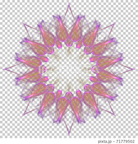 美しい八角形(背景透過PNG)　20201123_014 71779502