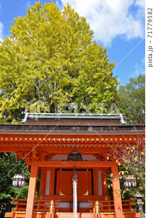 ≪京都 秋の北野天満宮≫ 京都府京都市 ≪京都 秋の北野天満宮≫ 京都府京都市 71779582