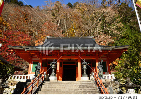 大峰山 秋の龍泉寺本堂 大峰山 秋の龍泉寺本堂 71779681