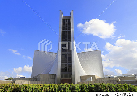 東京カテドラル聖マリア大聖堂　カトリック関口教会　　　 71779915