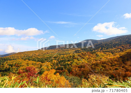 西吾妻スカイバレーから見た錦平の紅葉の写真素材