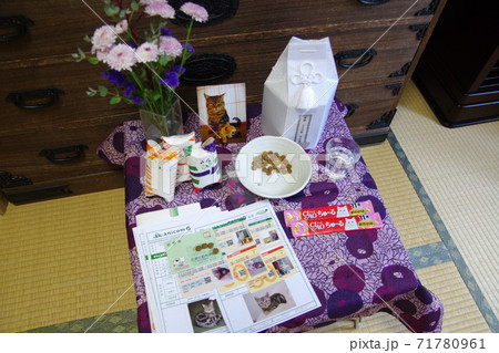 猫のお葬式（全体）　3 71780961