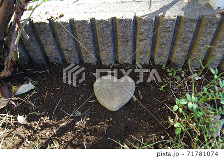 猫のお墓　4 71781074