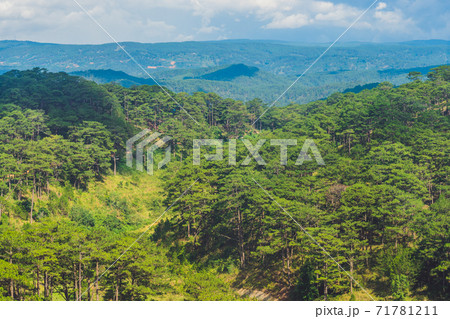 Fantastic landscape of Dalat Mountains, Viet Nam, fresh atmosphere, villa among forest, impression shape of hill and mountain from high view, wonderful vacation for ecotourism in spring 71781211