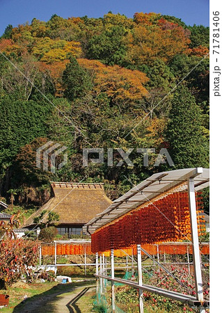串柿の里 和歌山県伊都郡かつらぎ町四郷 串柿の里 和歌山県伊都郡かつらぎ町四郷 71781406