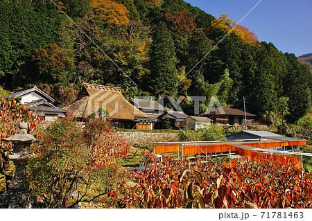 串柿の里 和歌山県伊都郡かつらぎ町四郷 串柿の里 和歌山県伊都郡かつらぎ町四郷 71781463