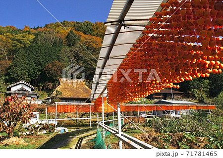 串柿の里　和歌山県伊都郡かつらぎ町四郷 71781465