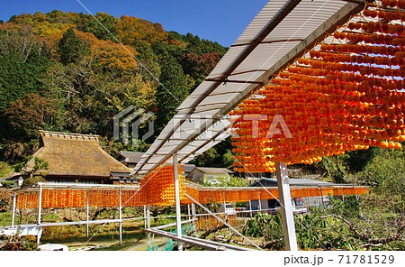 串柿の里　和歌山県伊都郡かつらぎ町四郷 71781529
