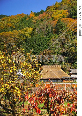 串柿の里　和歌山県伊都郡かつらぎ町四郷 71781541