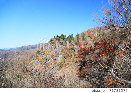 セイログラ方面の紅葉 71781575