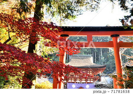 丹生都比売神社の鳥居と楼門 丹生都比売神社の鳥居と楼門 71781638