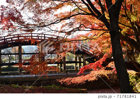 丹生都比売神社 太鼓橋の紅葉 丹生都比売神社 太鼓橋の紅葉 71781841