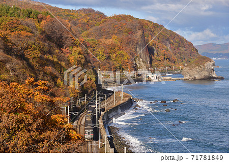 紅葉の張碓海岸を走る列車 71781849
