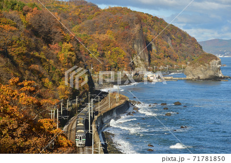紅葉の張碓海岸を走る列車 71781850