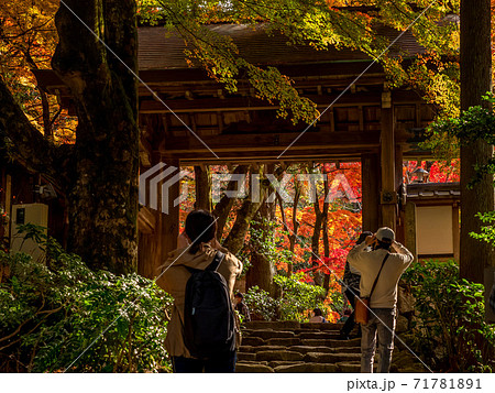 紅葉の有馬温泉　瑞宝寺公園 71781891