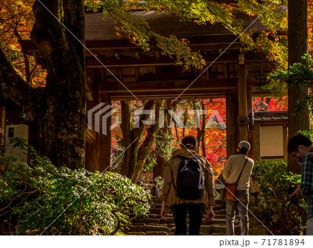 紅葉の有馬温泉　瑞宝寺公園 71781894