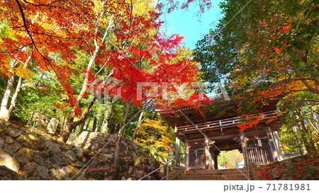 大窪寺の紅葉13 大窪寺の紅葉13 71781981