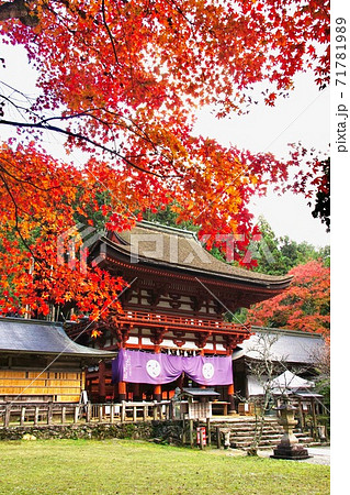秋の丹生都比売神社　和歌山県伊都郡かつらぎ町 71781989