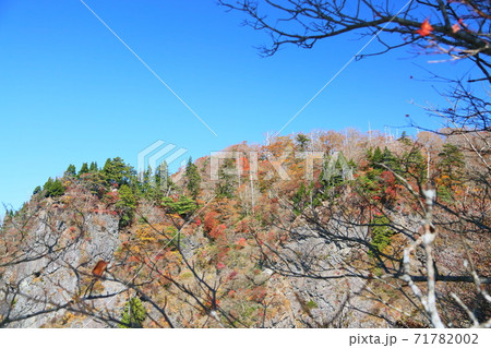 セイログラ方面の紅葉 71782002