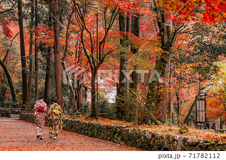毘沙門堂　紅葉 71782112