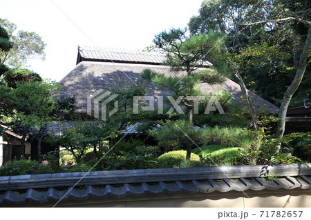 伊賀上野城 伊賀上野城 71782657