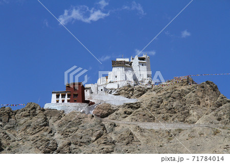 ナムギャル・ツェモ・ゴンパ 71784014