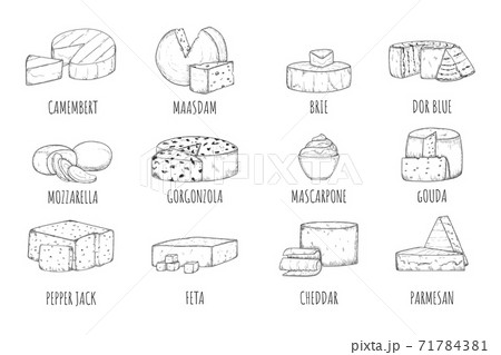 Cheese different type pencil sketch icon set 71784381