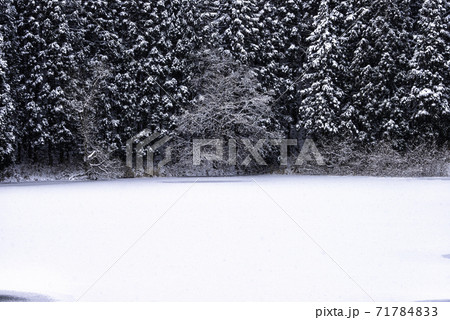 長野県 雪の千曲高原 長野県 雪の千曲高原 71784833