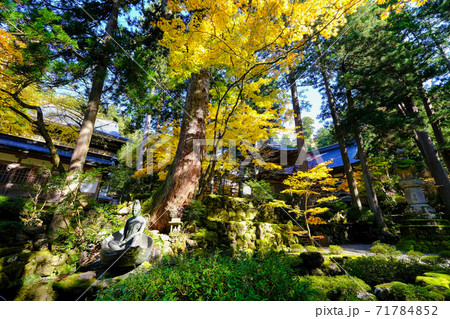 永平寺 通用門横の紅葉 永平寺 通用門横の紅葉 71784852