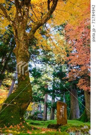 永平寺 紅葉と石碑 71784942
