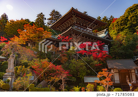 世界遺産宮島、大聖院の紅葉 世界遺産宮島、大聖院の紅葉 71785083