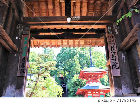 高野山真言宗・慈尊院 高野山真言宗・慈尊院 71785145