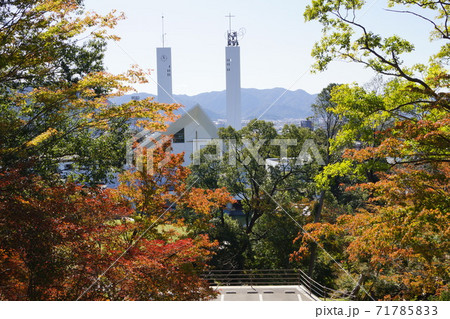 山口県 山口市の山口ザビエル記念聖堂と紅葉 71785833