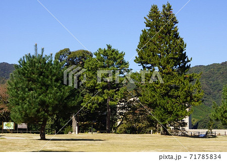 山口県 山口市 亀山公園の風景 山口県 山口市 亀山公園の風景 71785834