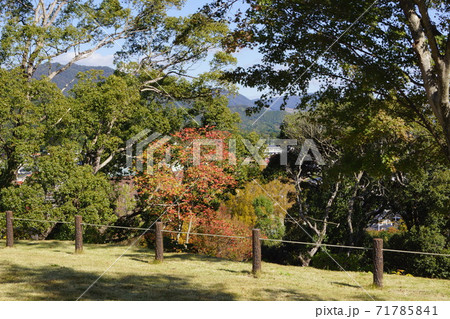 山口県 山口市 亀山公園の風景 山口県 山口市 亀山公園の風景 71785841