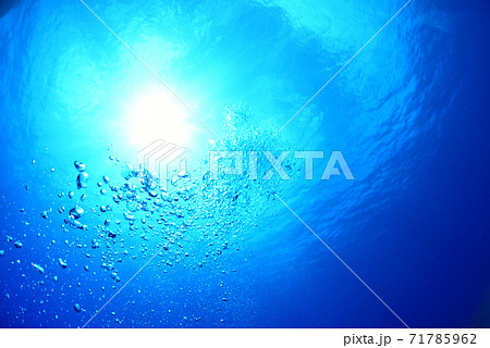 水中から見上げた太陽 水中から見上げた太陽 71785962