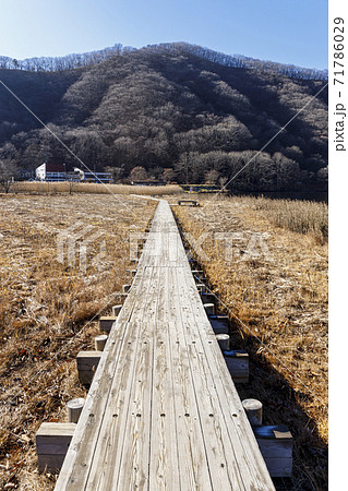 榛名山　榛名湖　晩秋 71786029