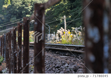 大分県日田市天ケ瀬町のとても小さな杉河内駅から見た秋の風景 大分県日田市天ケ瀬町のとても小さな杉河内駅から見た秋の風景 71786045
