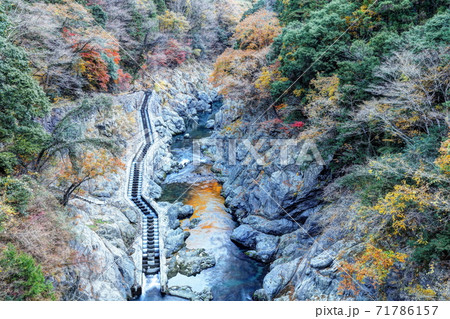 鳩ノ巣渓谷の秋 71786157