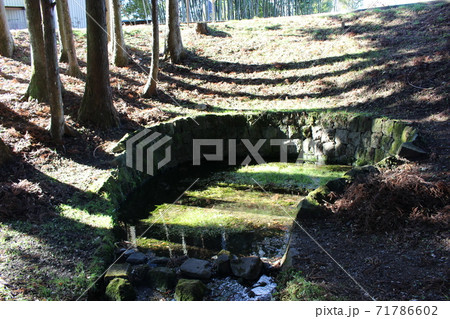 びゃっこい びゃっこい 71786602