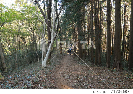 笠間、吾国愛宕山ハイキングコース 笠間、吾国愛宕山ハイキングコース 71786603