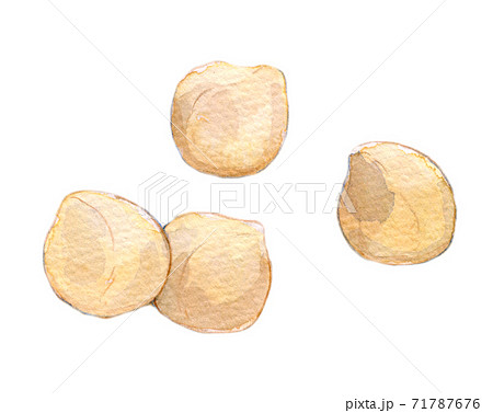 水彩イラスト　食品　ナッツ類 71787676