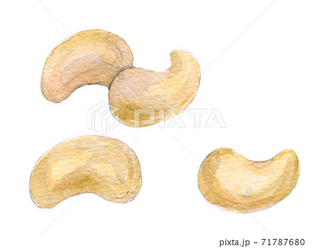 水彩イラスト　食品　ナッツ類 71787680