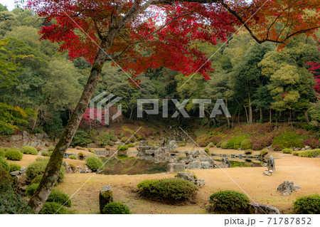山口市常栄寺、雪舟庭の紅葉 71787852