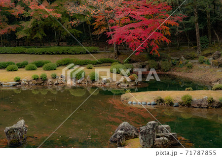 山口市常栄寺、雪舟庭の紅葉 山口市常栄寺、雪舟庭の紅葉 71787855