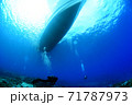 ボートとダイバー 71787973