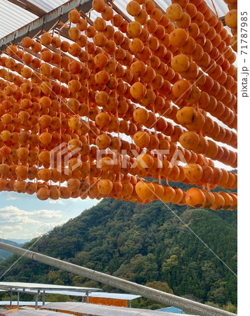 串柿の里 和歌山県伊都郡かつらぎ町四郷 串柿の里 和歌山県伊都郡かつらぎ町四郷 71787985