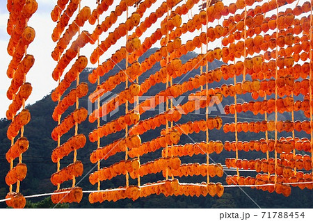 串柿の里　和歌山県伊都郡かつらぎ町四郷 71788454